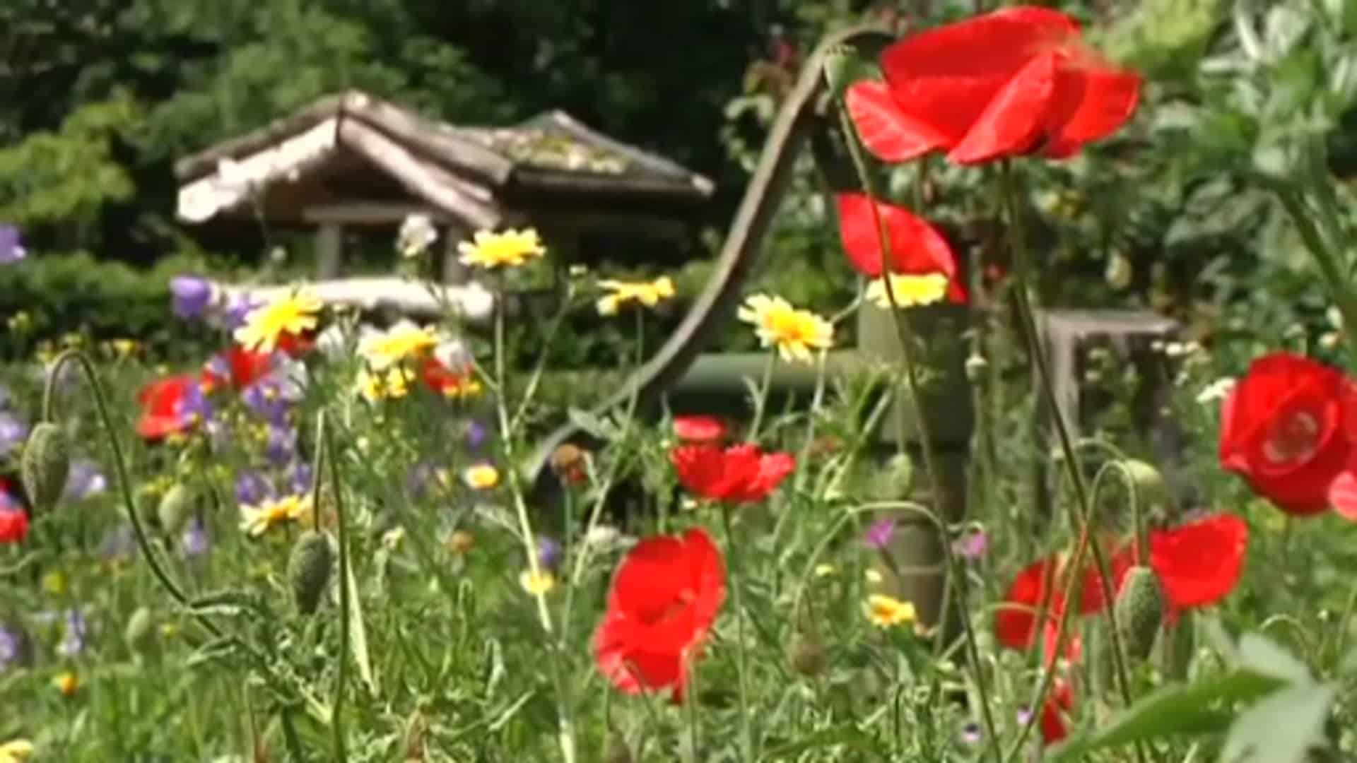 Oberlangen beim europäischen Dorferneuerungswettbewerb