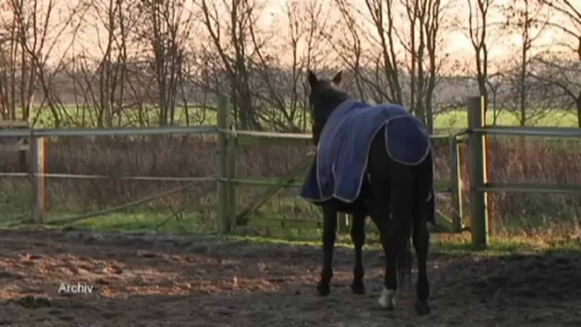 Petition für Tierhaltungsverbot in Klein Hesepe
