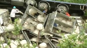 LKW-Unfälle: Lingener Umgehungsstraße soll sicherer werden