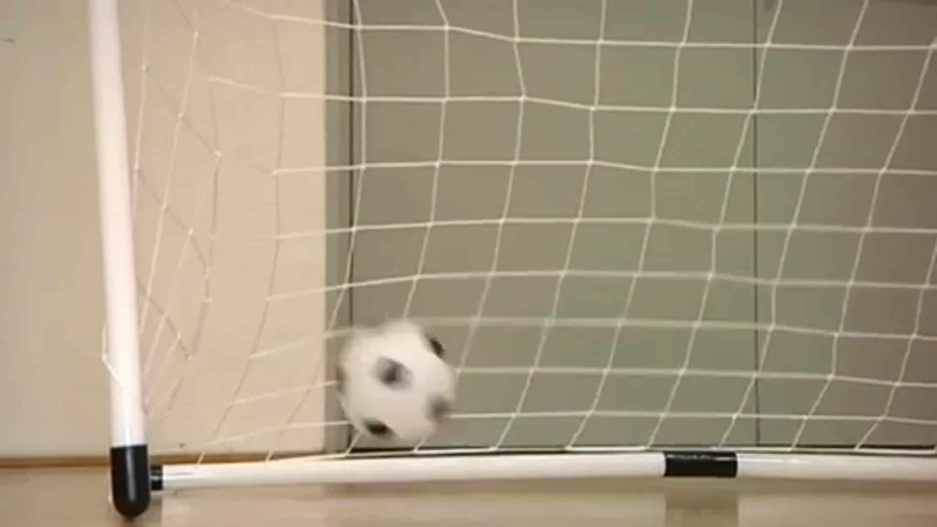 Sportreporter Bèla Rèhty stellt sein Buch vor