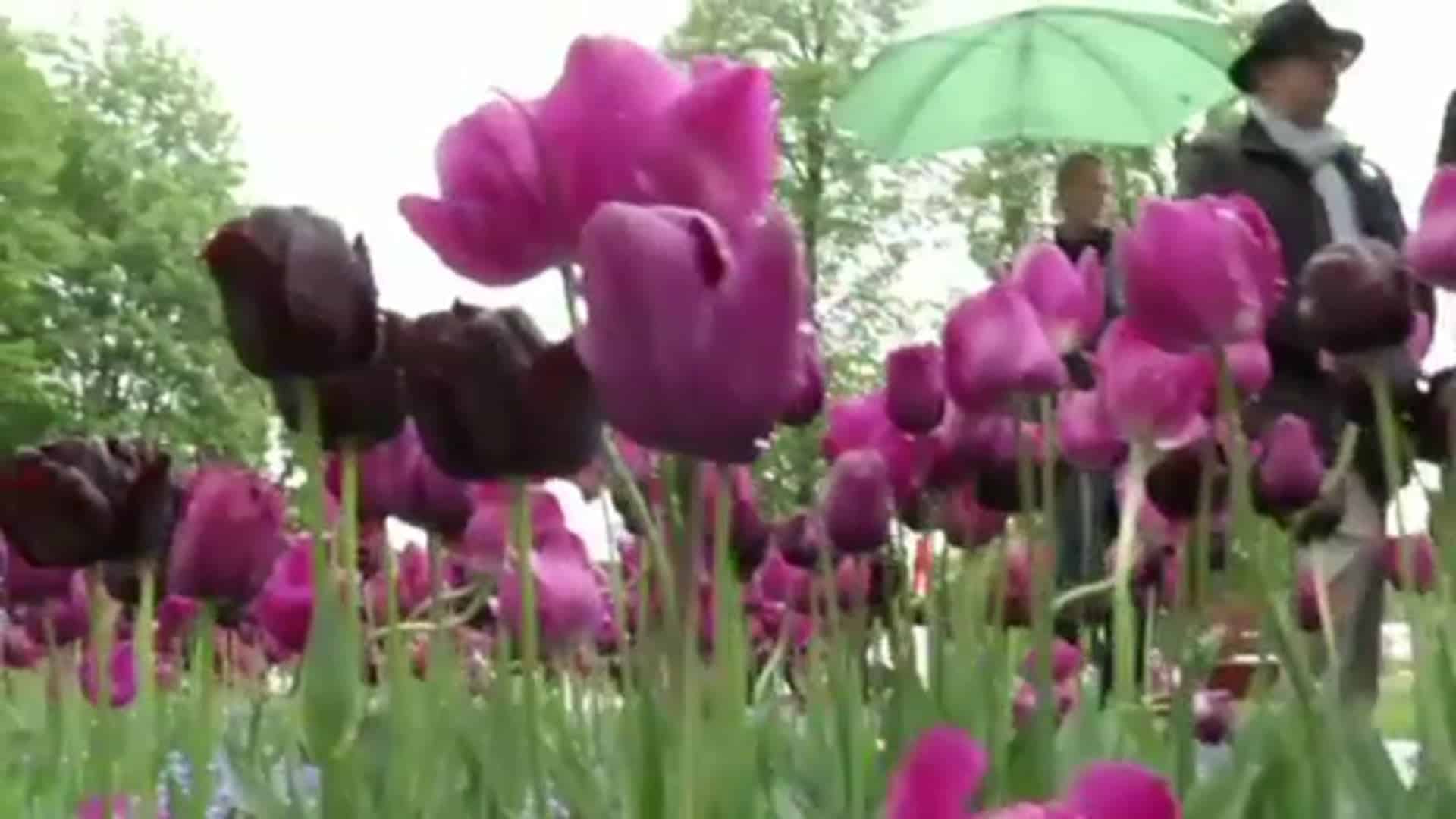 EU-Kommissar Oettinger besucht die Landesgartenschau