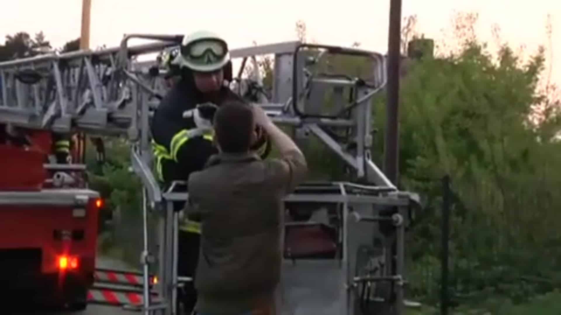 Mit der Drehleiter: Feuerwehr rettet Kater von Dach