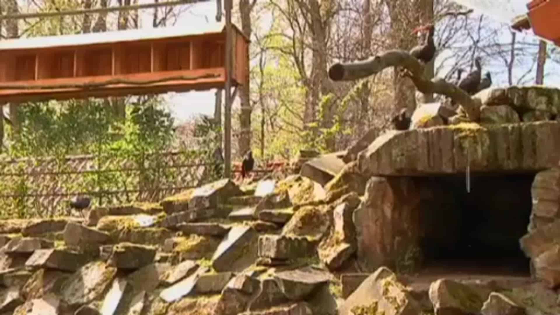 Neuheiten im Tierpark Nordhorn