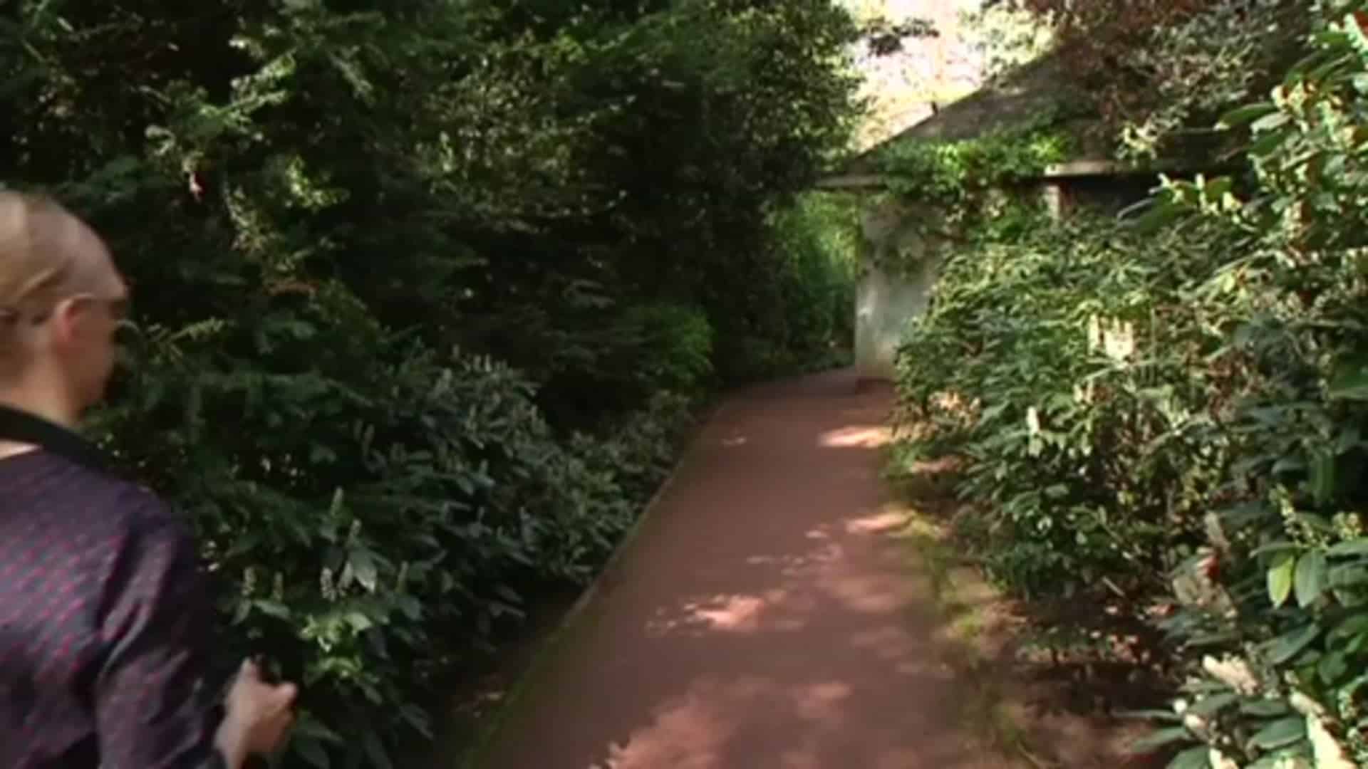 Kunststipendium der emsländischen Landschaft geht an Sarah Janßen