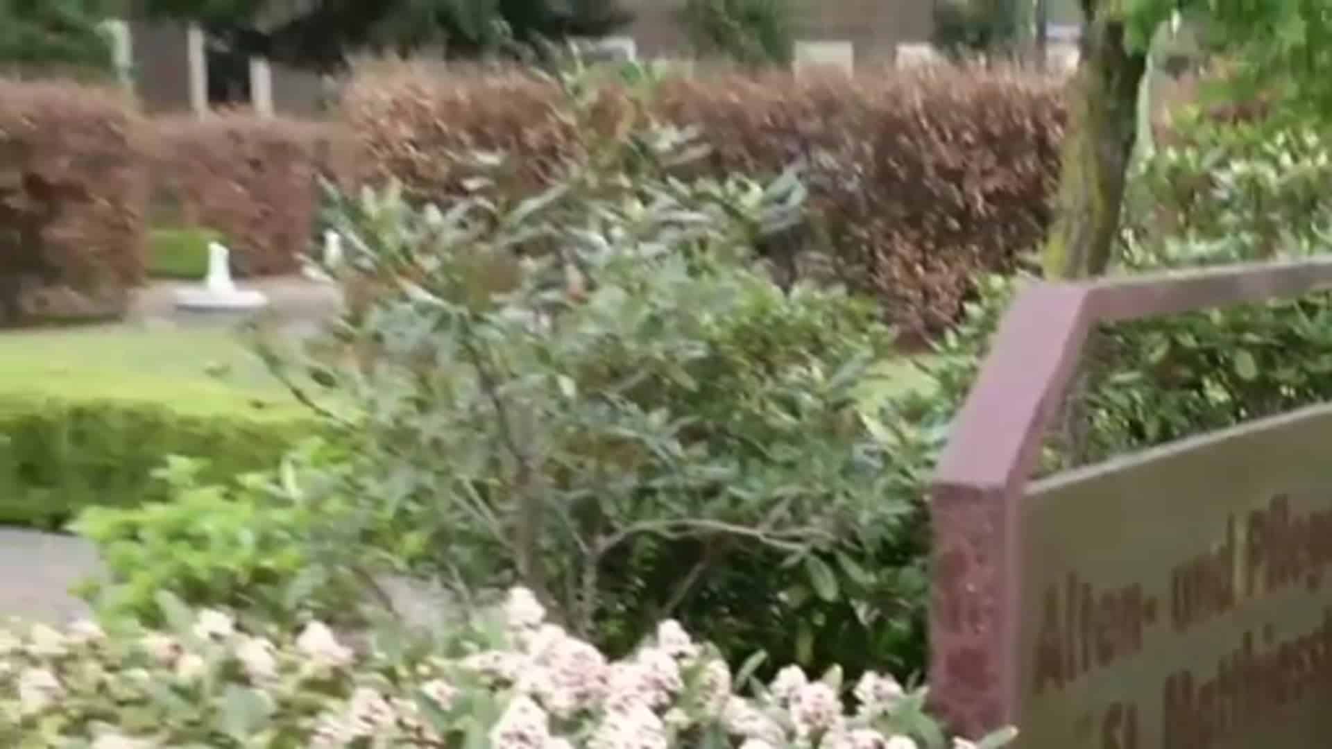 Hunderte demonstrieren für Erhalt des Pflegeheimes