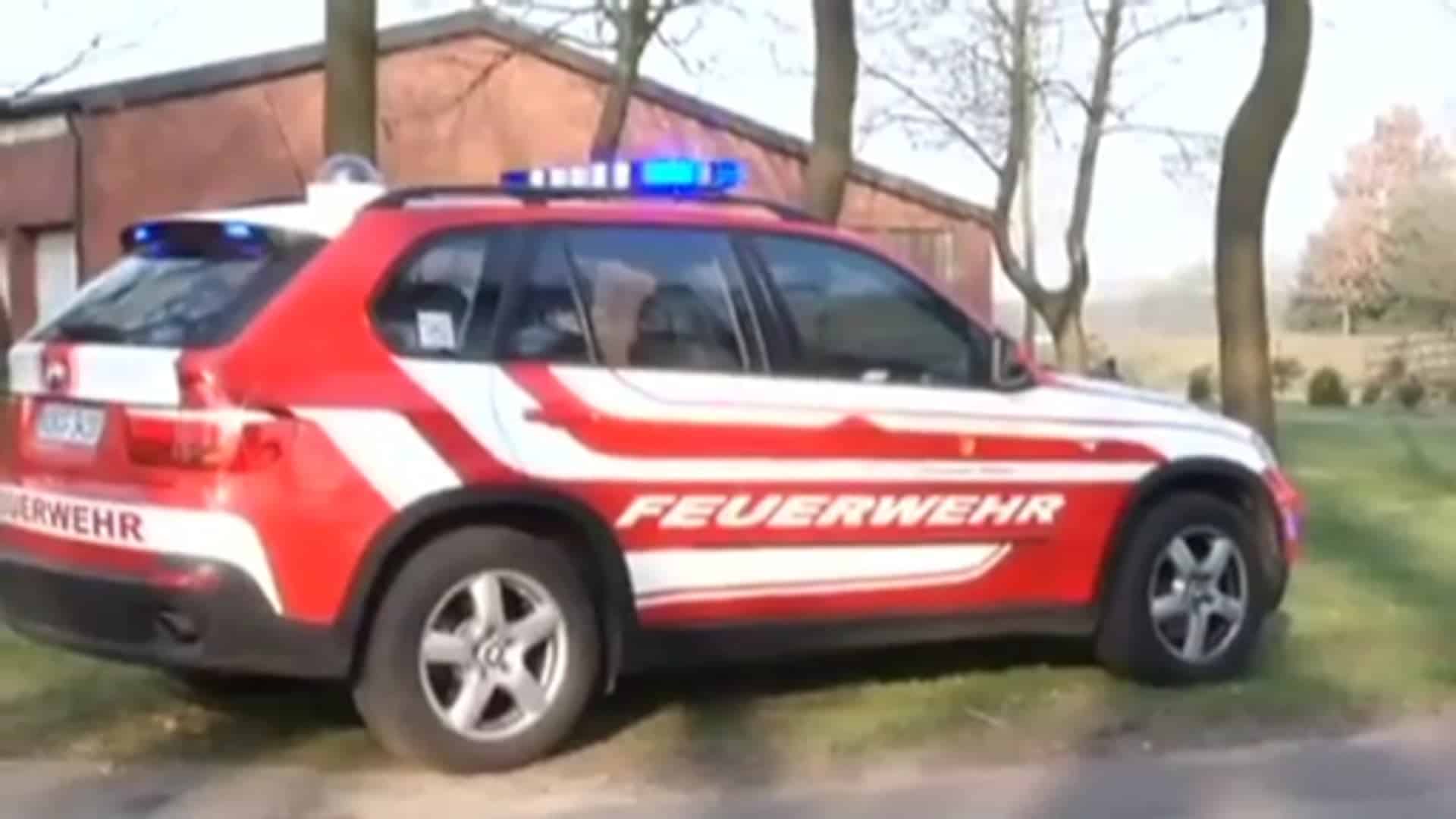 31 Rinder müssen nach Feuer im Stall getötet werden