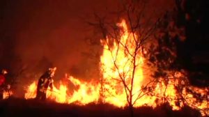 Großbrand im Gildehauser Venn