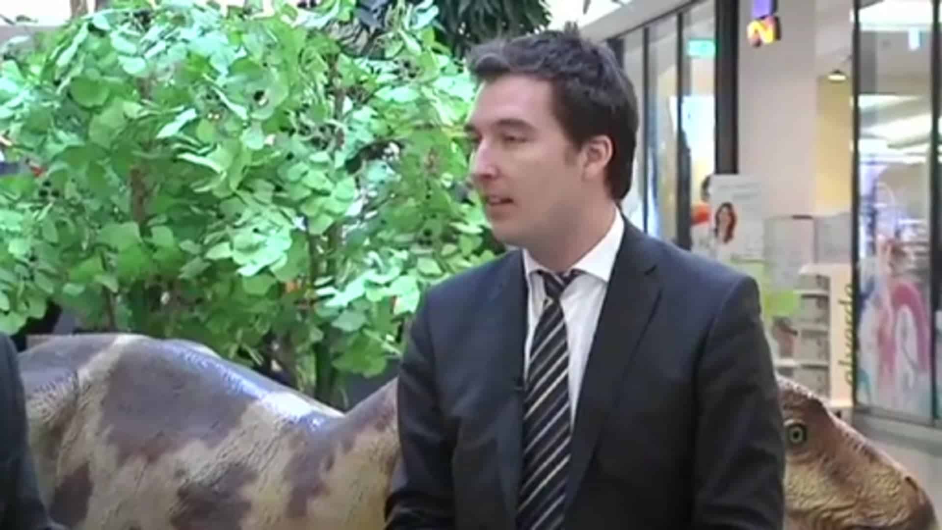 Das regionale Schaufenster (Firmen-TV)