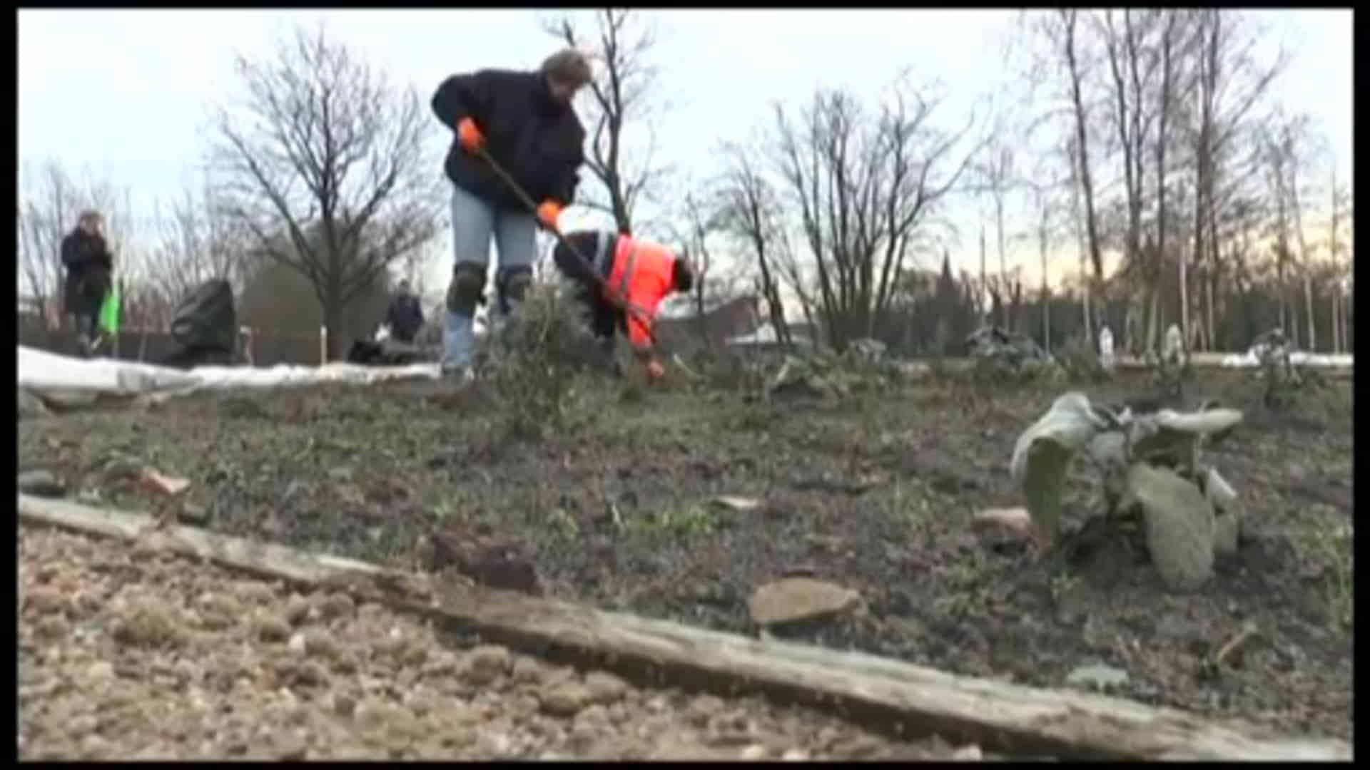 Vorbericht zur Landesgartenschau in Papenburg