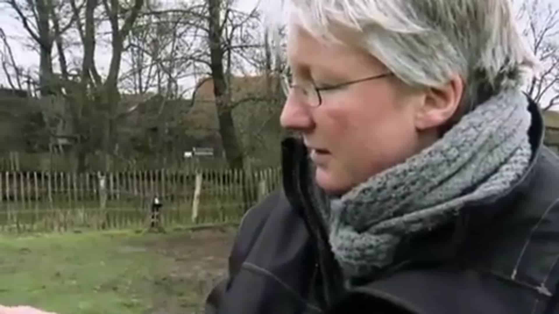 Tierzeit - Februar 2014