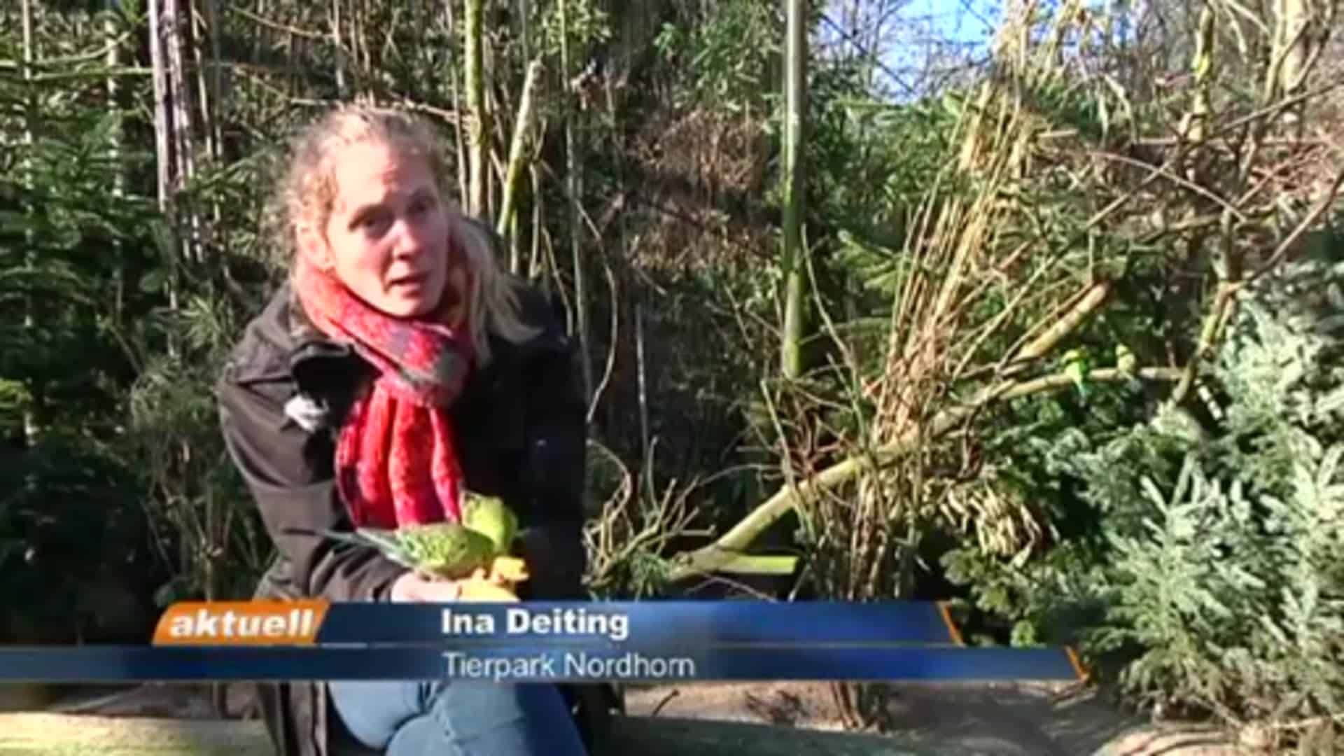 Inventur im Tierpark Nordhorn