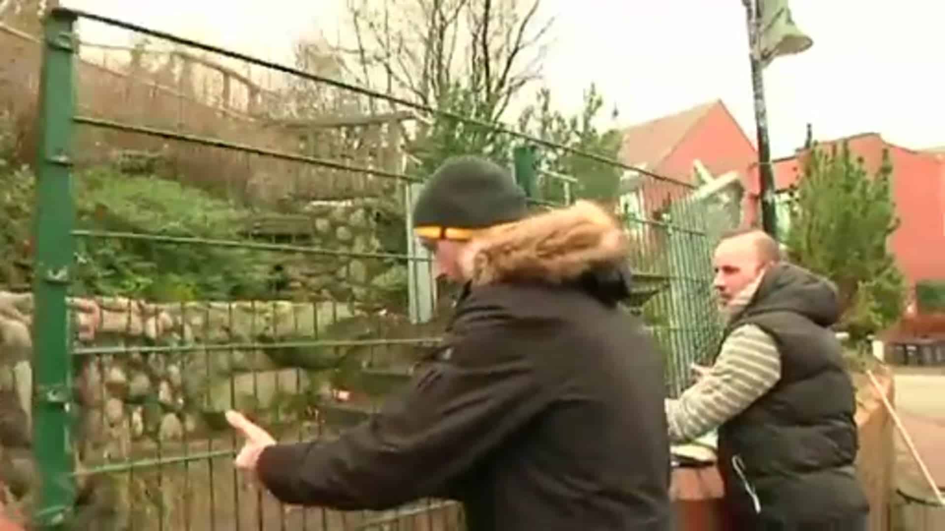 Aufräumaktion: Lingener als Impulsgeber