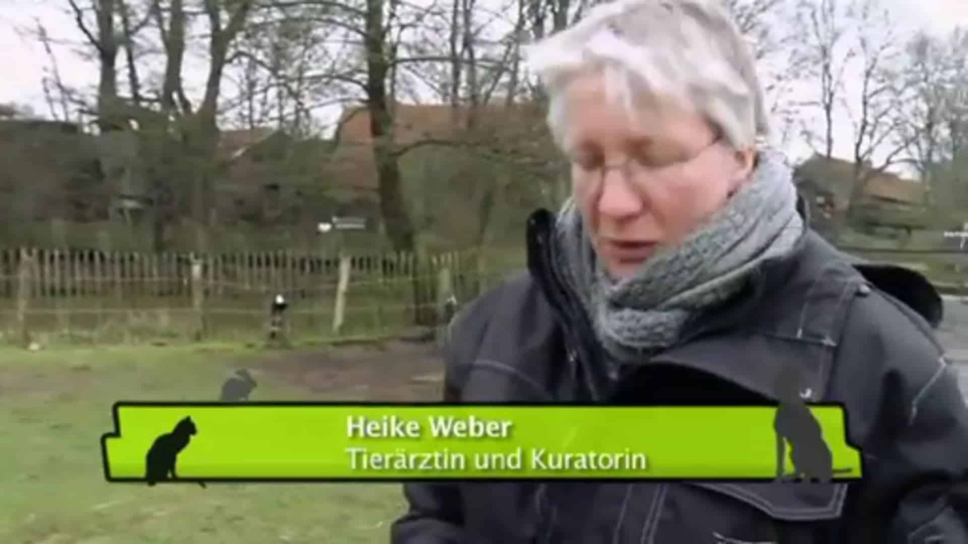 Geschichten aus dem Tierpark Nordhorn