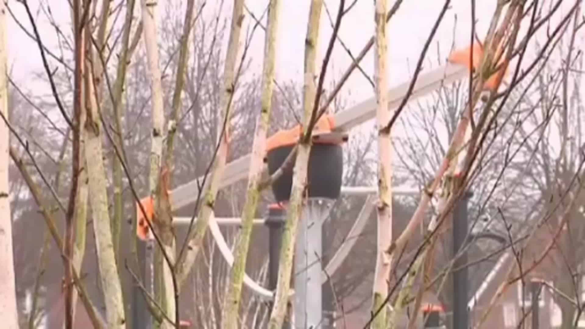 In 82 Tagen eröffnet die Landesgartenschau in Papenburg