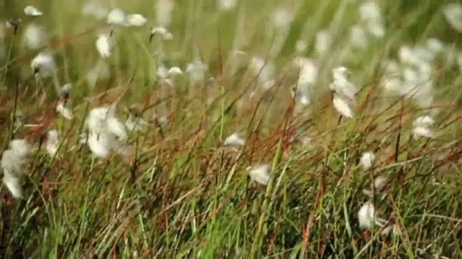 Neue Perspektiven mit 