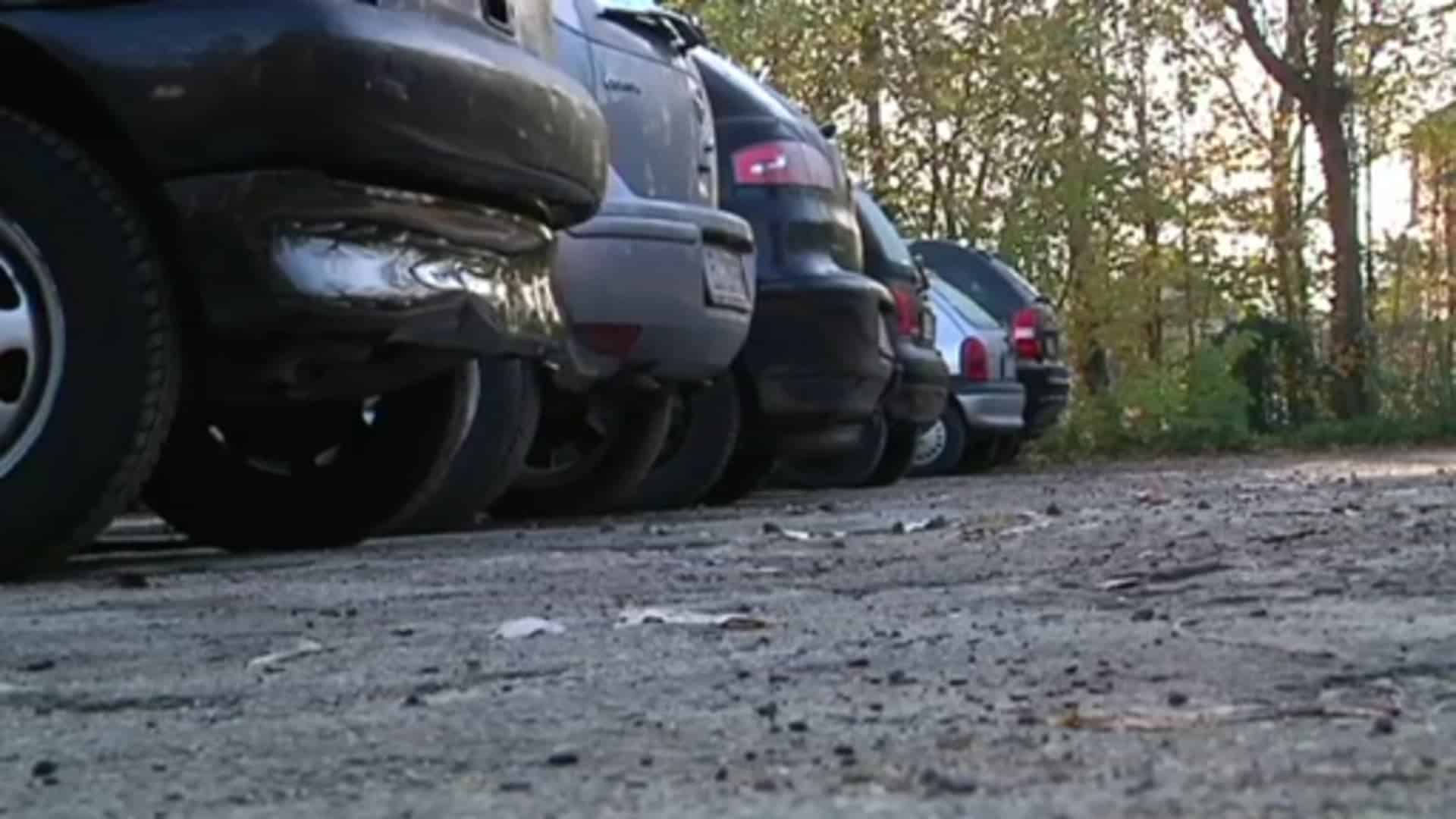 Fledermaus verhindert Abriss der alten Fachhochschule