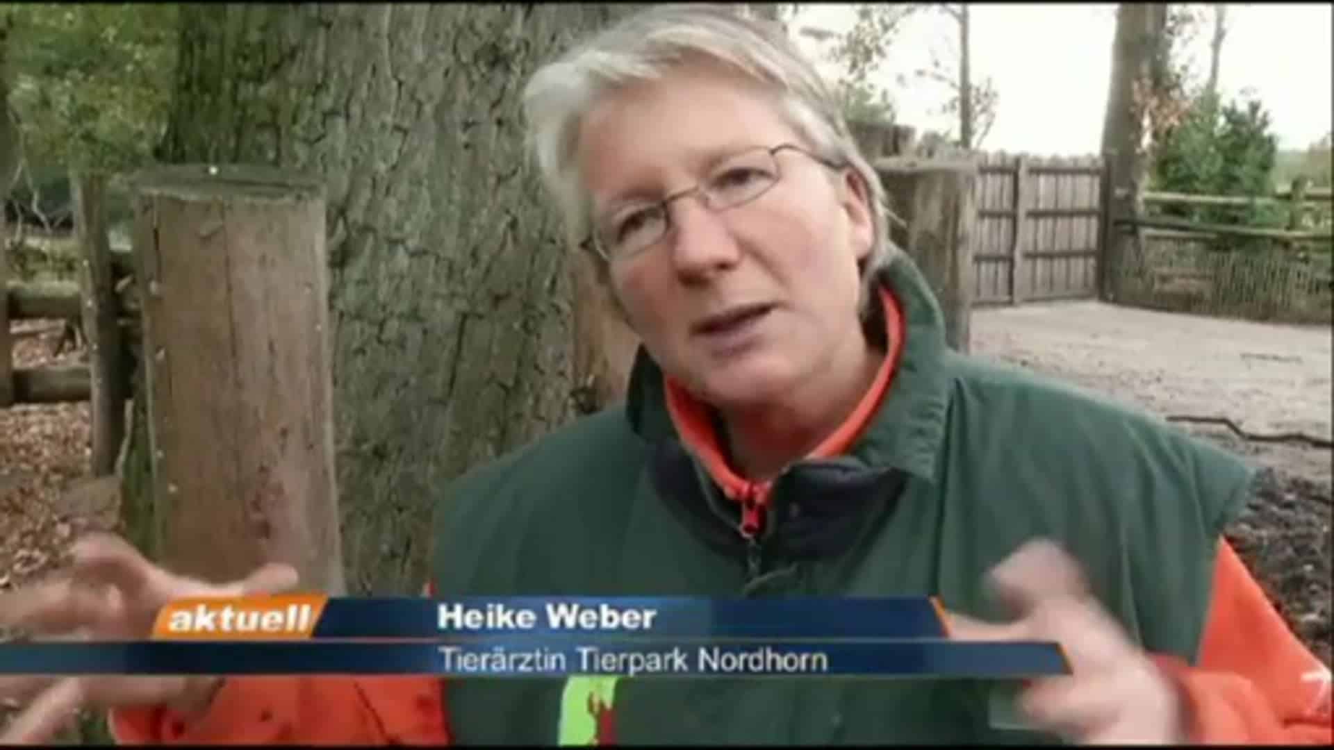 ev.tv aktuell - Dienstag 12