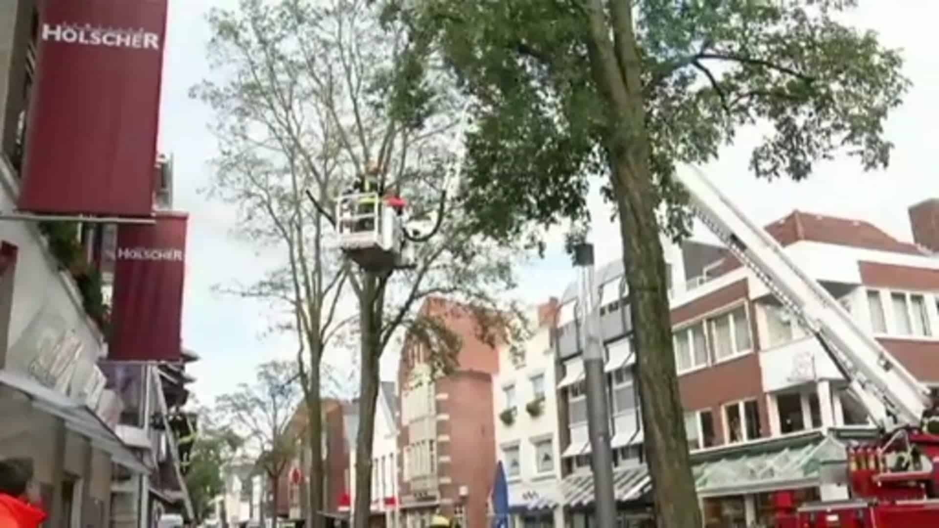 Blaulicht - retten und helfen