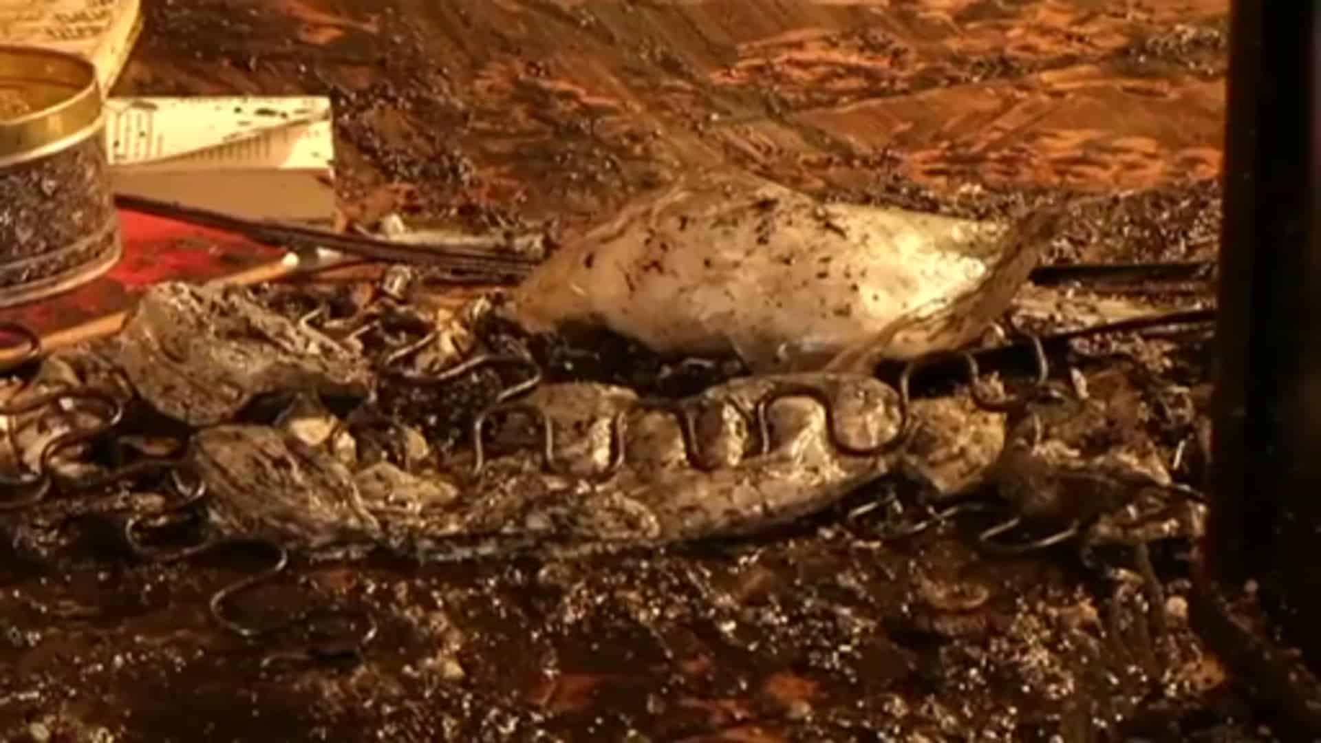 Feuer auf dem Kossehof in Meppen