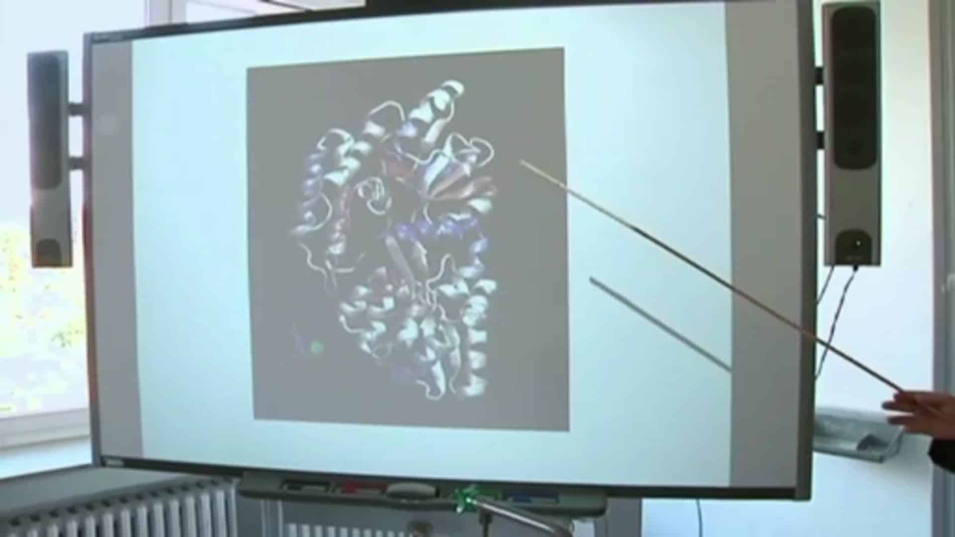 ev1.tv der Talk - Zu Gast: Dr