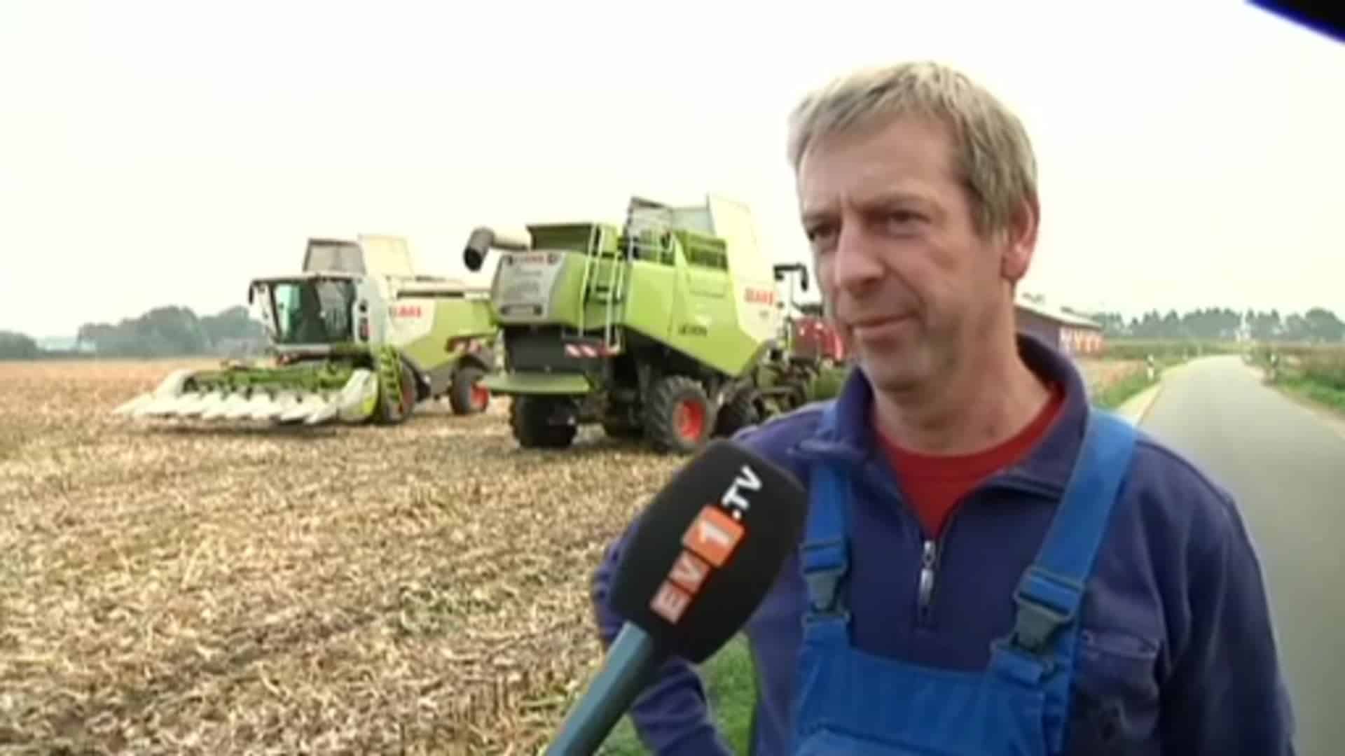 Maisernte im Emsland und der Grafschaft Bentheim