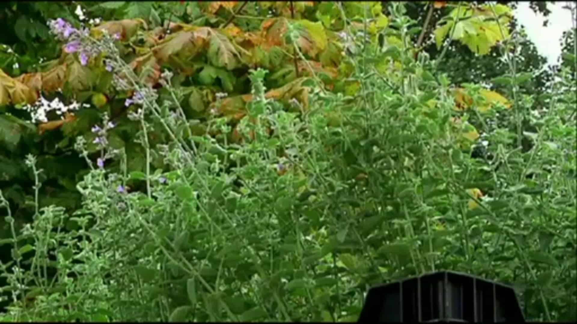 ev1.tv aktuell - Mittwoch 25