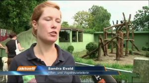 ev1.tv aktuell – 13. September 2013