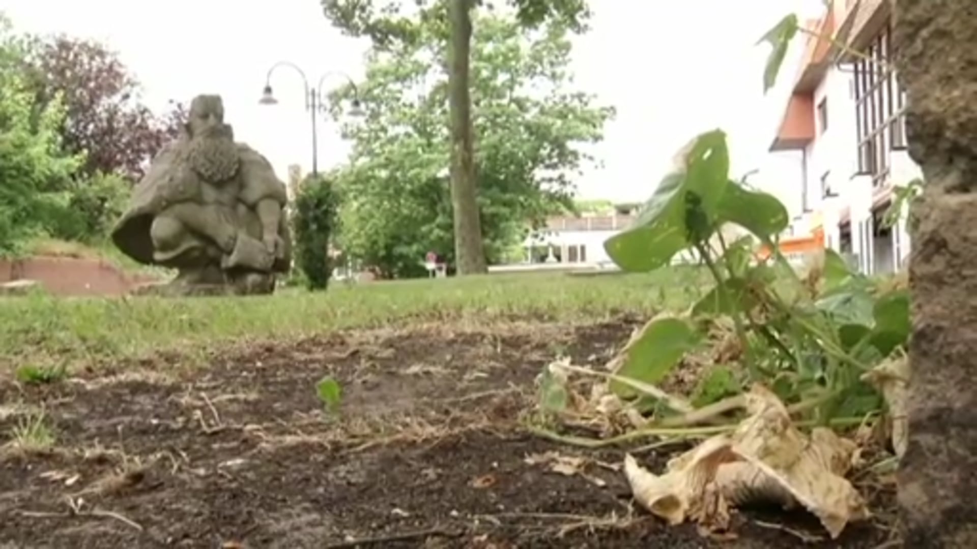 Wohin mit Machurius?