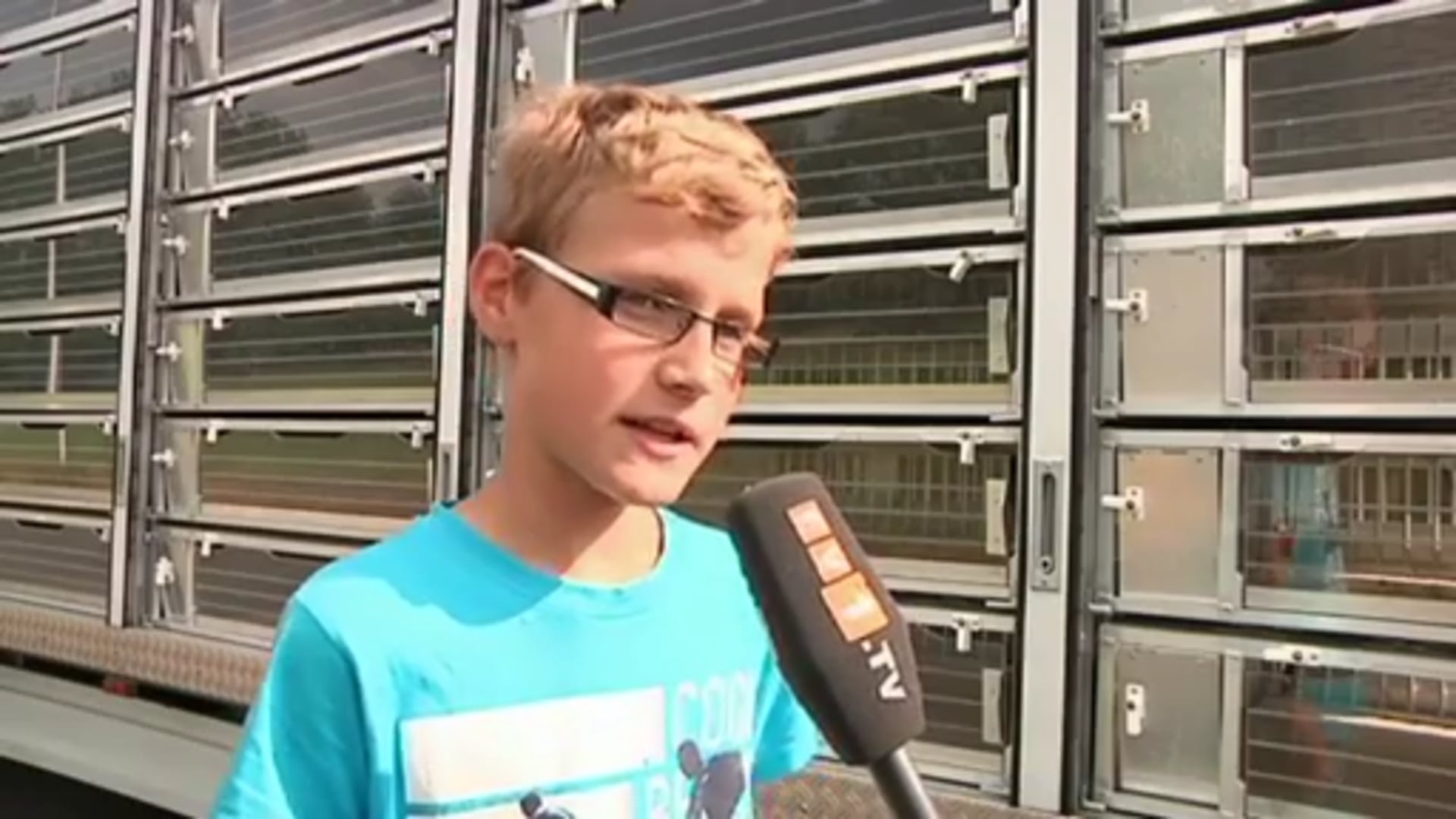 Brieftauben fliegen über Neuenhaus