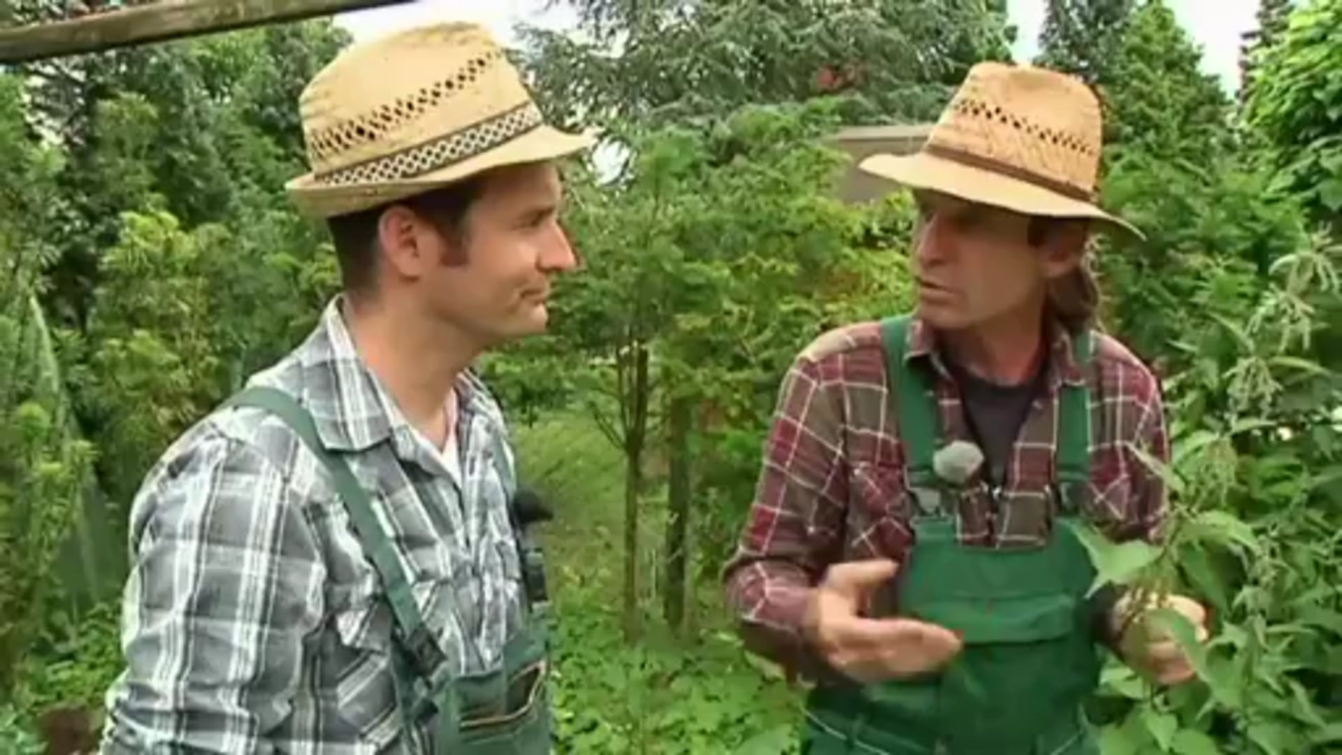 Gartentalk - Thema: Jauche