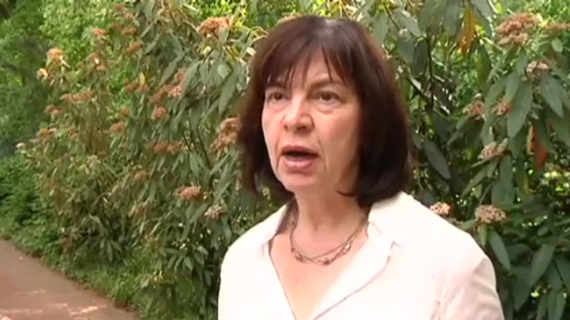 Rebecca Harms informiert sich über Bienensterben