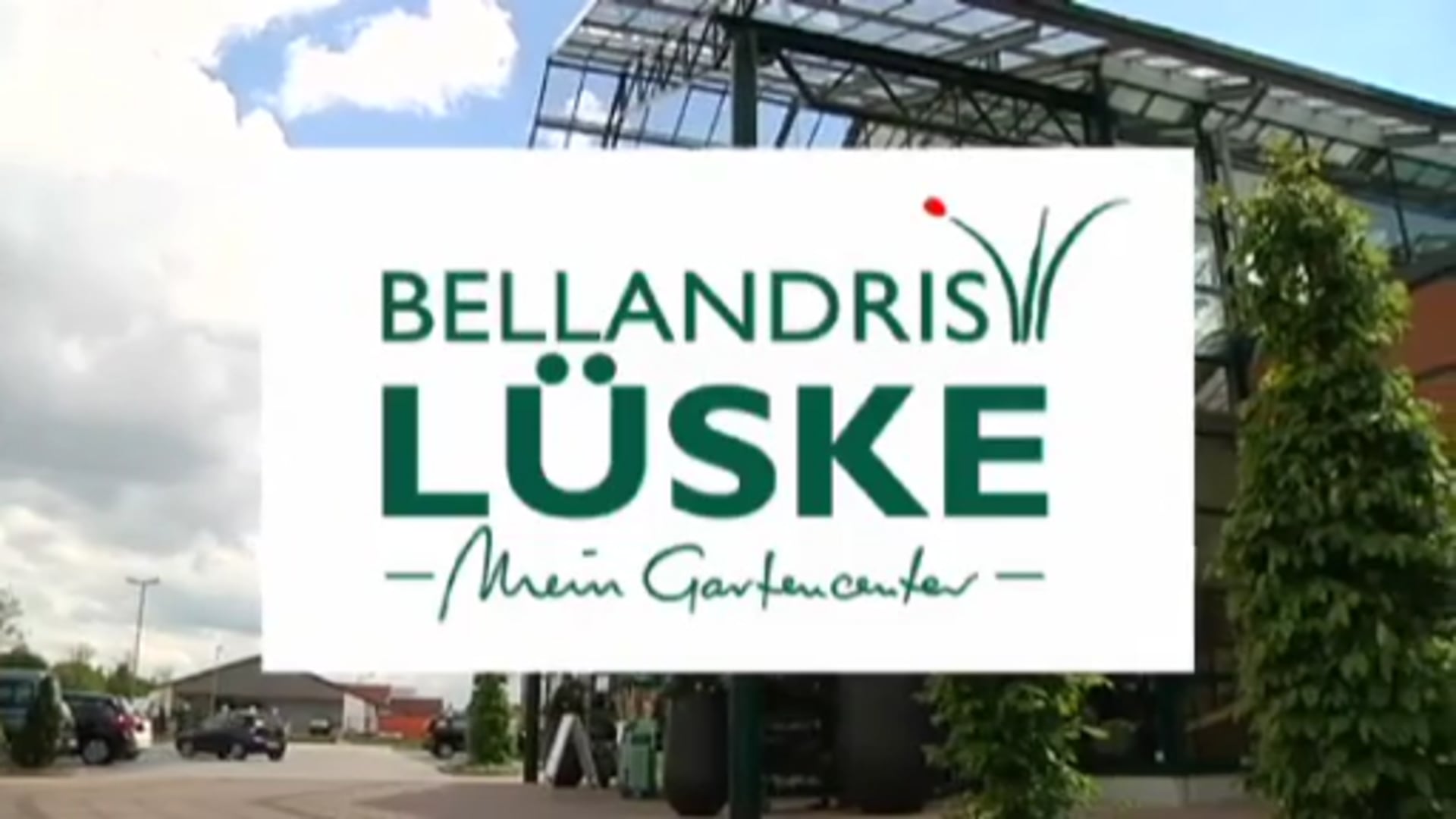 Ems-Vechte-Sport vom 10