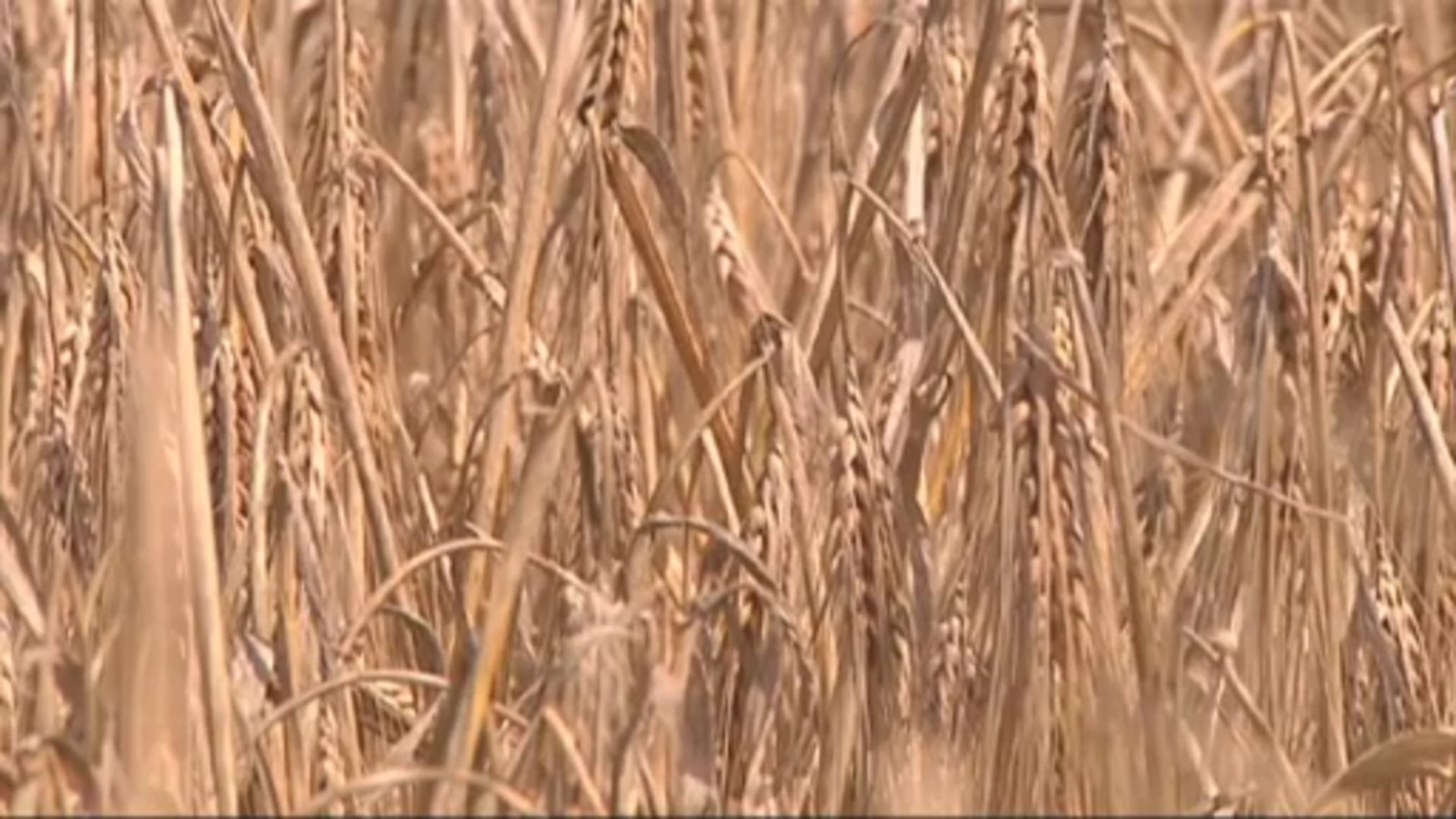 Landwirtschaftsminister Christian Meyer in der Region