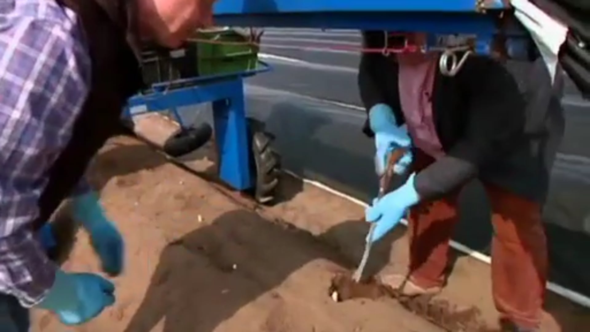 Zu Besuch bei Opa Anton  I  Folge 19