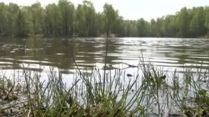 Vermisster 19-Jähriger tot im See gefunden