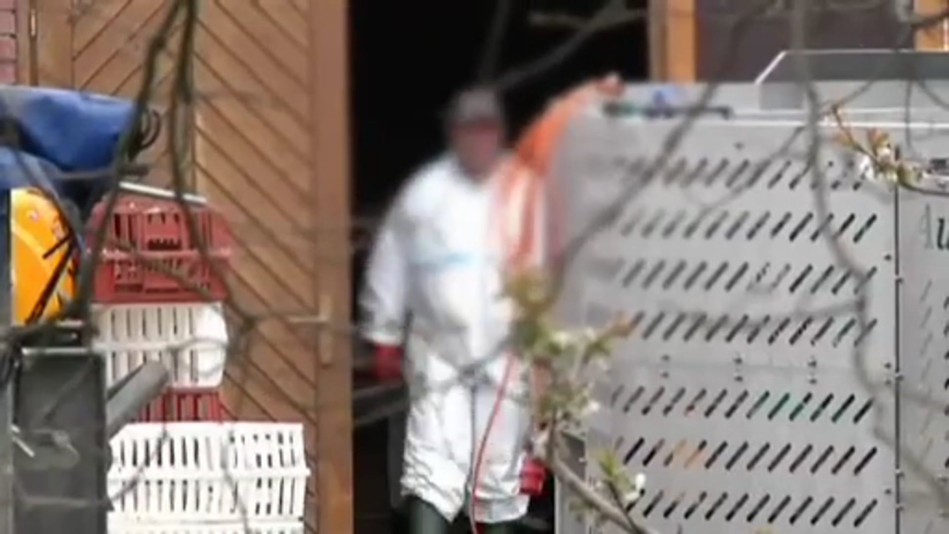 Vogelgrippe im Emsland