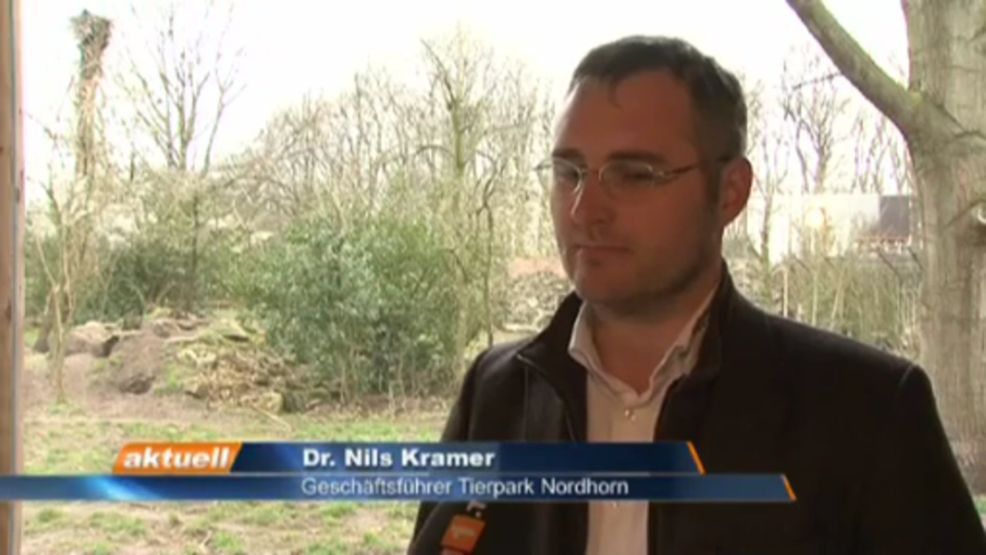 Wolf in Meppen abgelichtet