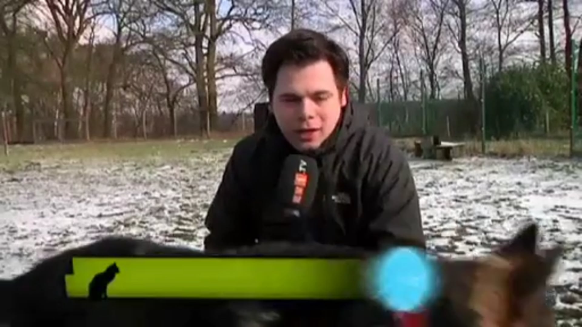 Die ev1