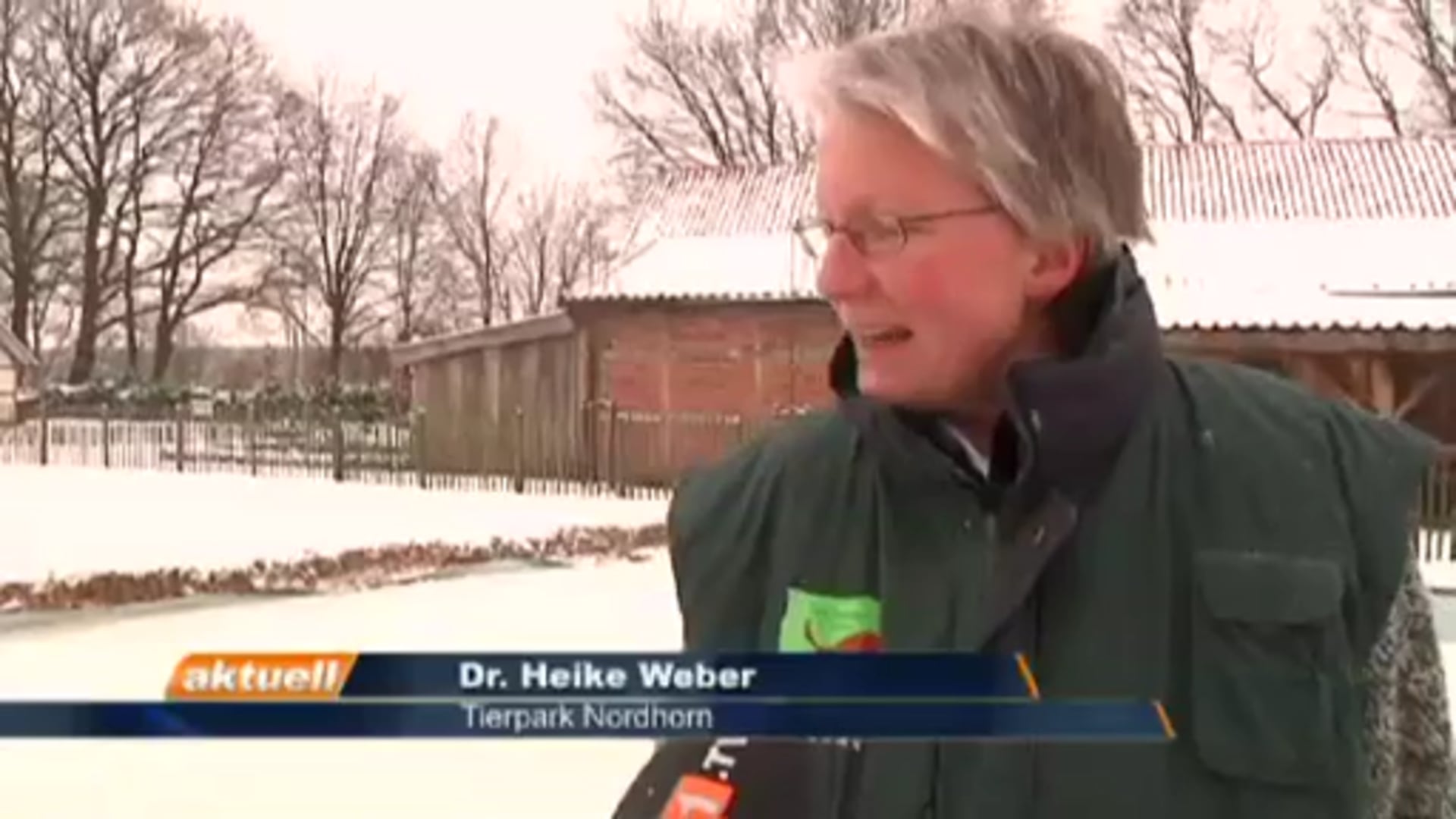 Eislaufvergnügen kann beginnen