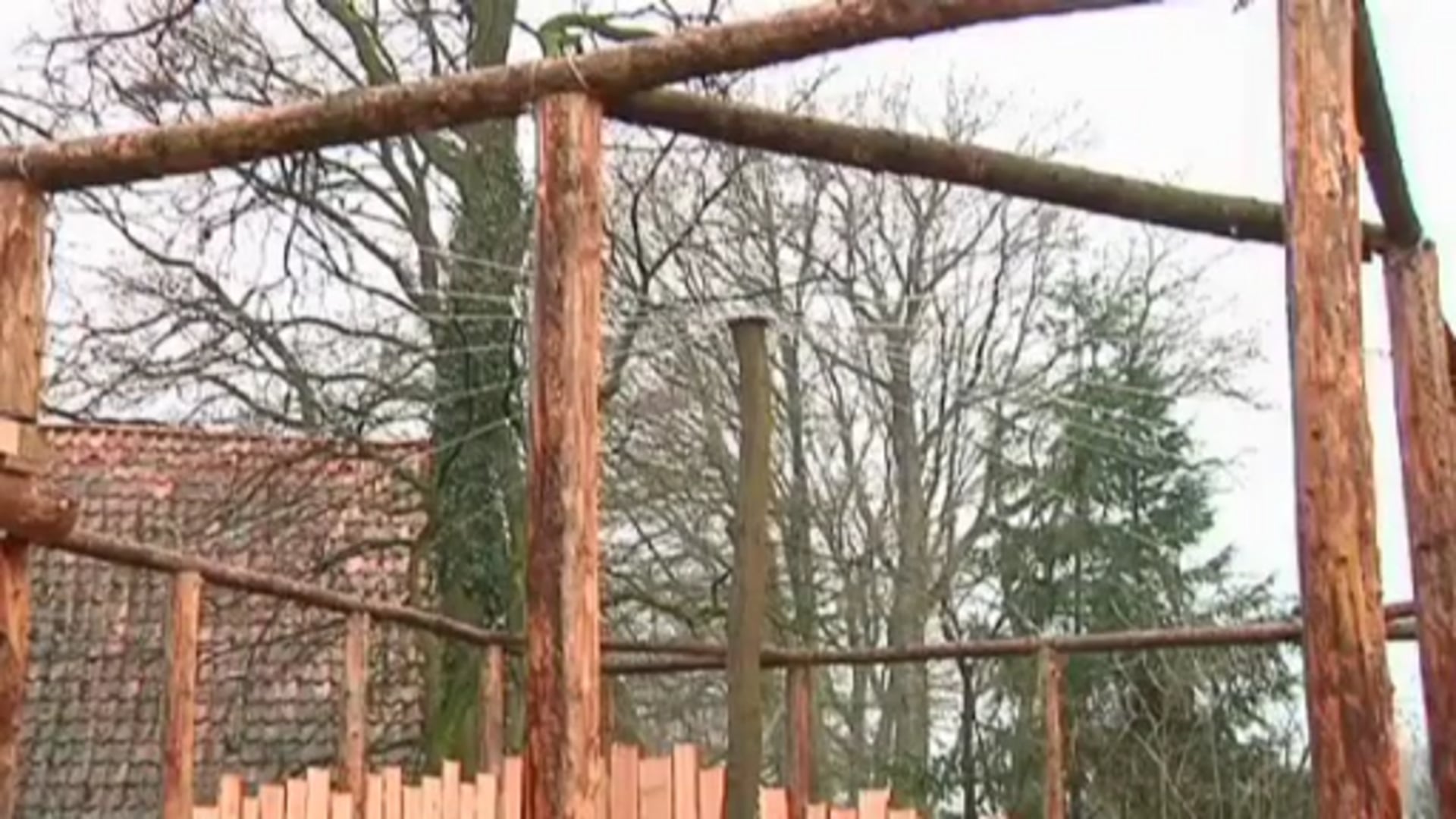 Tierpark Nordhorn zieht Bilanz für das Jahr 2012