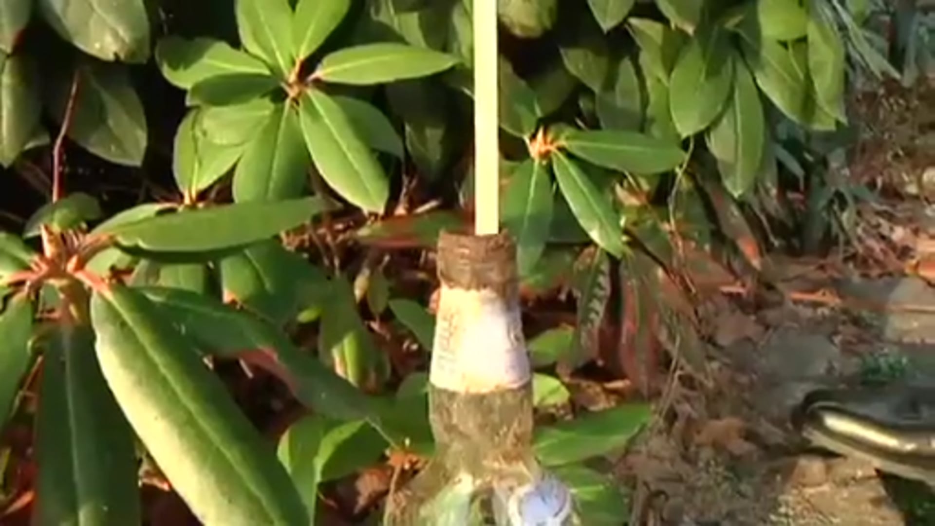 Feuerwehr warnt vor Gefahren durch Böller und Co.