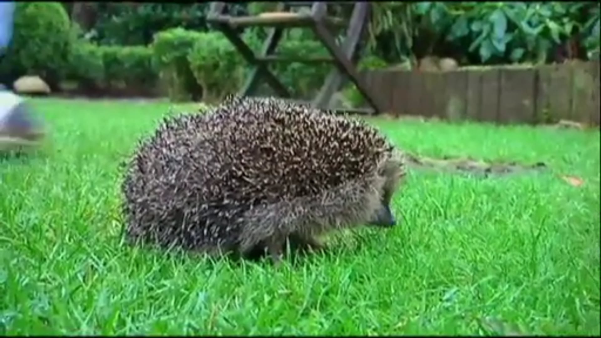 ev1.tv aktuell - 27.12