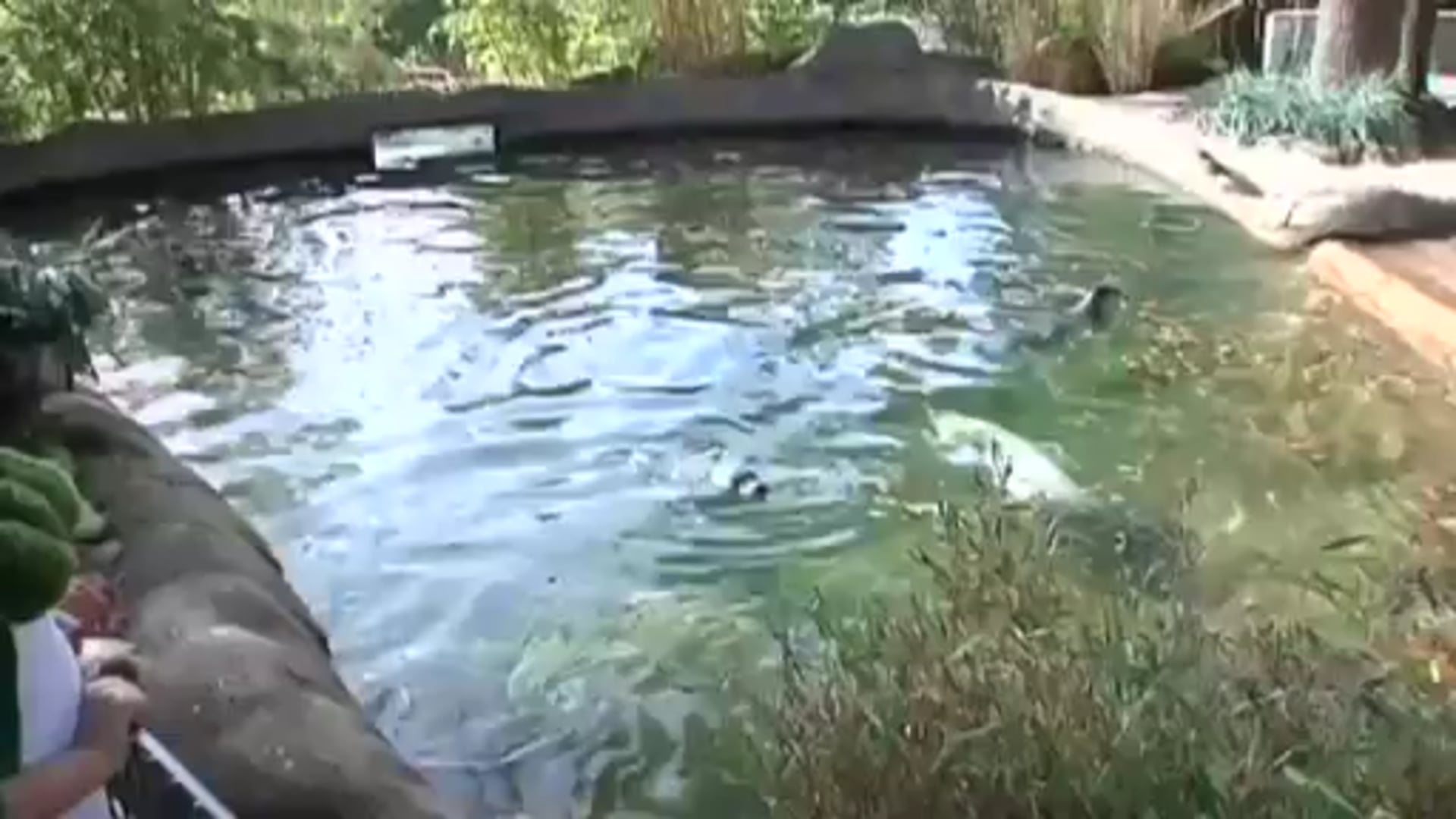 Familienzusammenführung im Tierpark