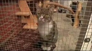 ev1.tv aktuell – 21. September 2012