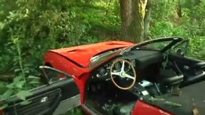 Ferrari rast in Wald