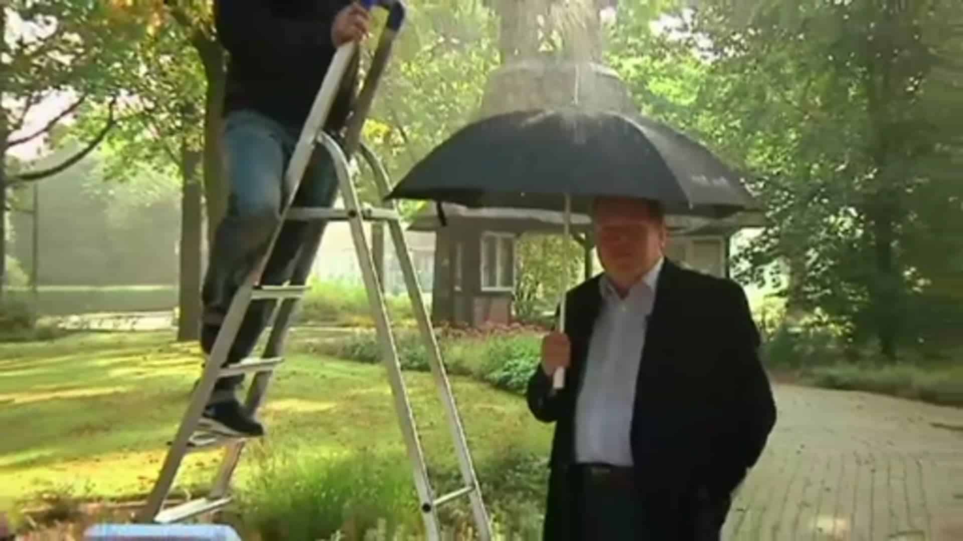 Das Wetter für Freitag, den 09