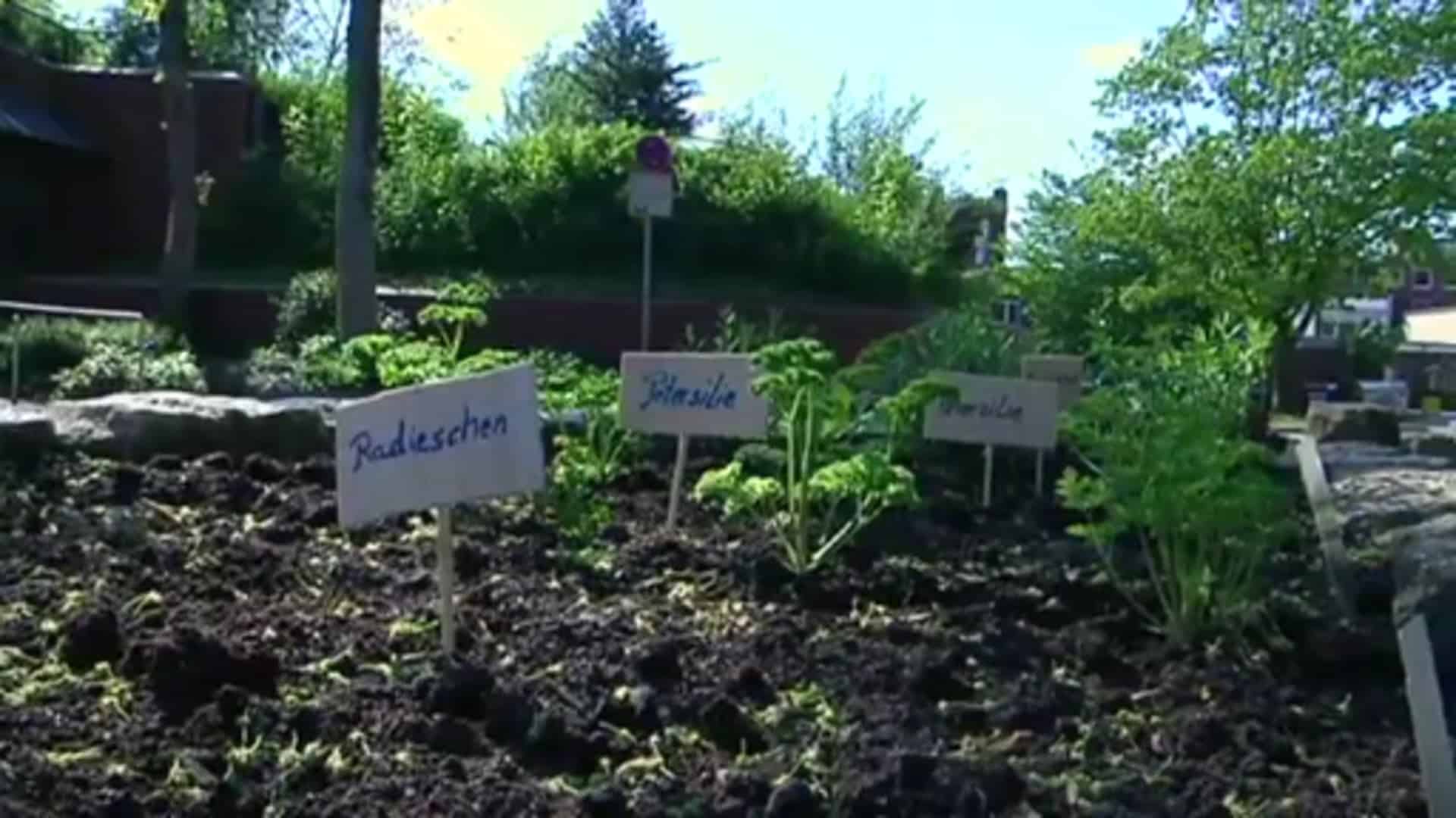 Neues Kleinod in der Lingener Innenstadt eröffnet