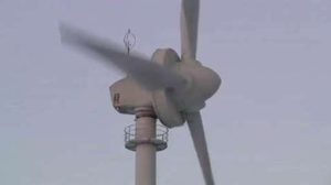 Windpark Gölenkamp-Wilsum: SPD-Ortsverein Uelsen weiter gegen Erweiterung