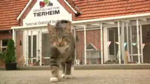 Tierheim Wietmarschen schließt