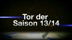 Tor der Saison 2013/2014 - Die Kandidaten